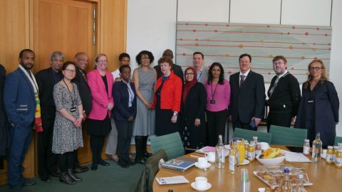 All Party Parliamentary Group for Africa (APPG-A)